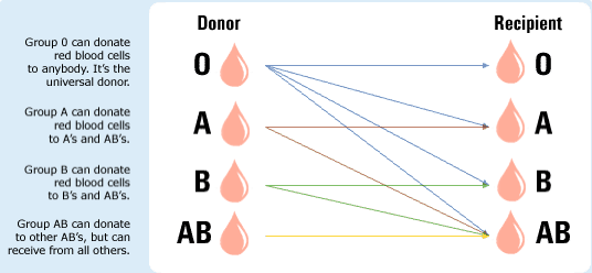 Blood Giving Chart
